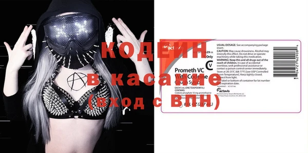 индика Алзамай