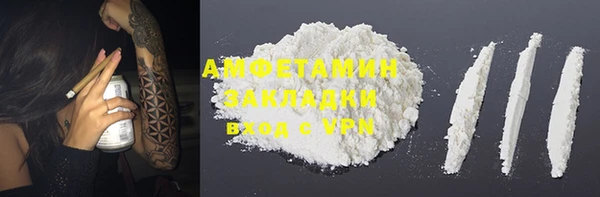 индика Алзамай