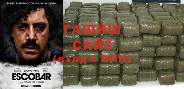 индика Алзамай